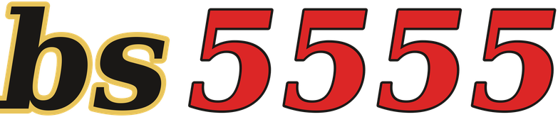 bs5555 logo